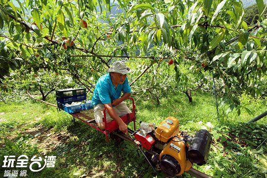 Da Kuan Peach Farm Resort Hualing Zewnętrze zdjęcie